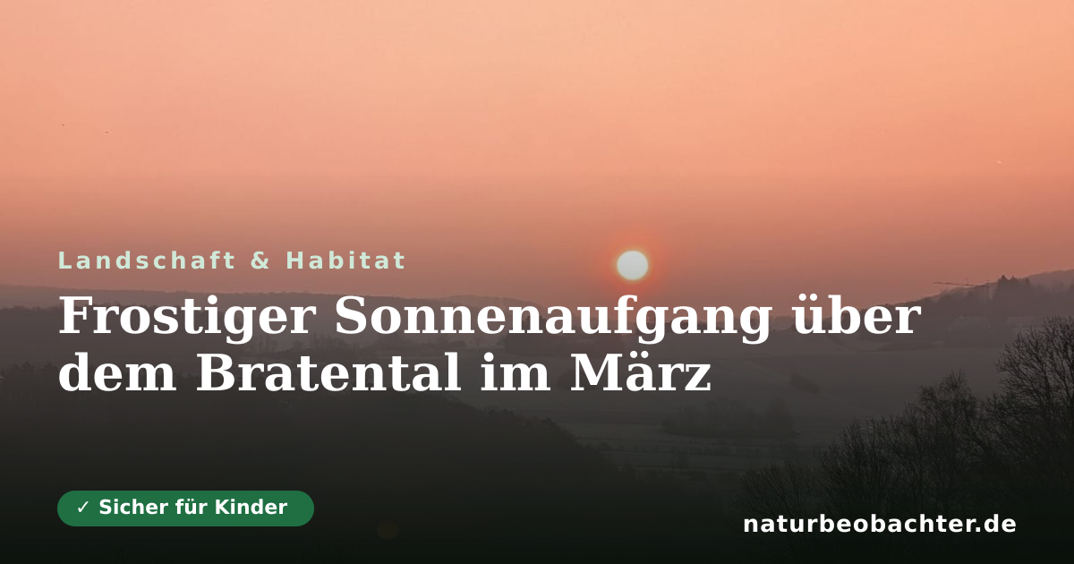 Vorschau der Teilen-Karte: Frostiger Sonnenaufgang über dem Bratental im März