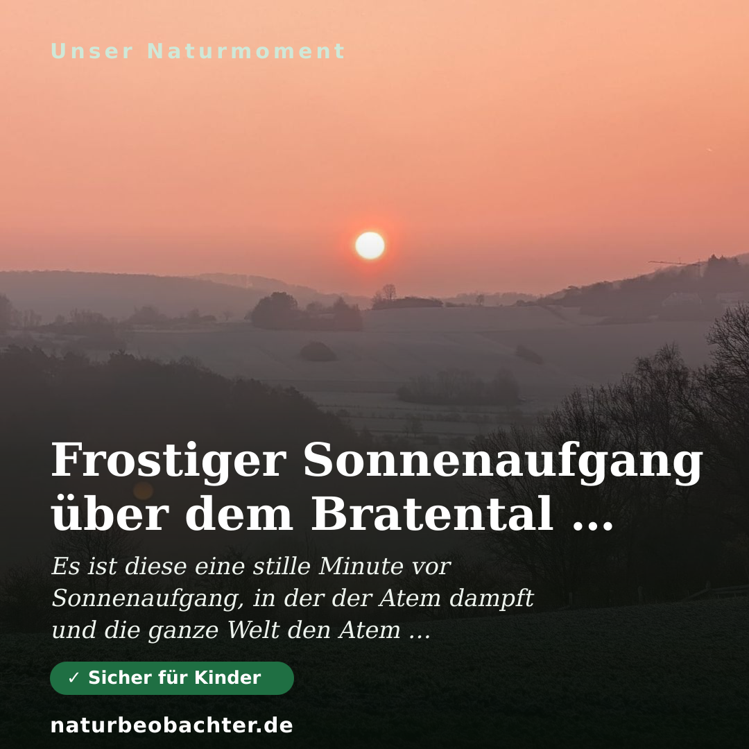 Druck-Vorschau: Frostiger Sonnenaufgang über dem Bratental im März