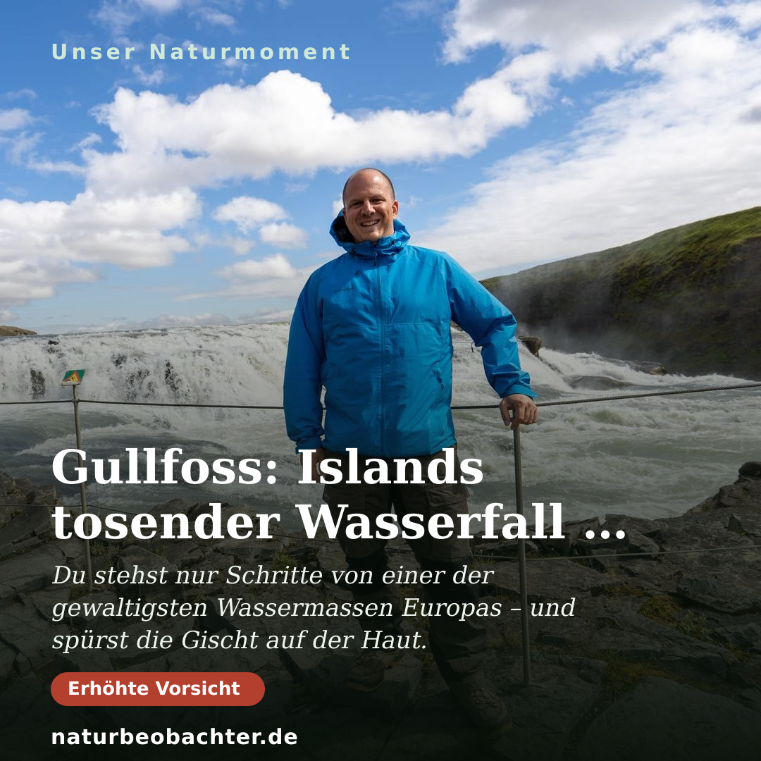 Druck-Vorschau: Gullfoss: Islands tosender Wasserfall im Sommerlicht
