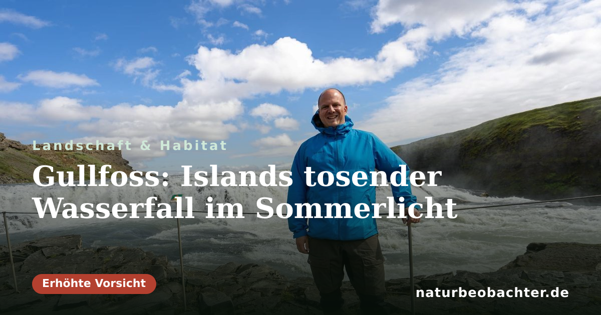 Vorschau der Teilen-Karte: Gullfoss: Islands tosender Wasserfall im Sommerlicht