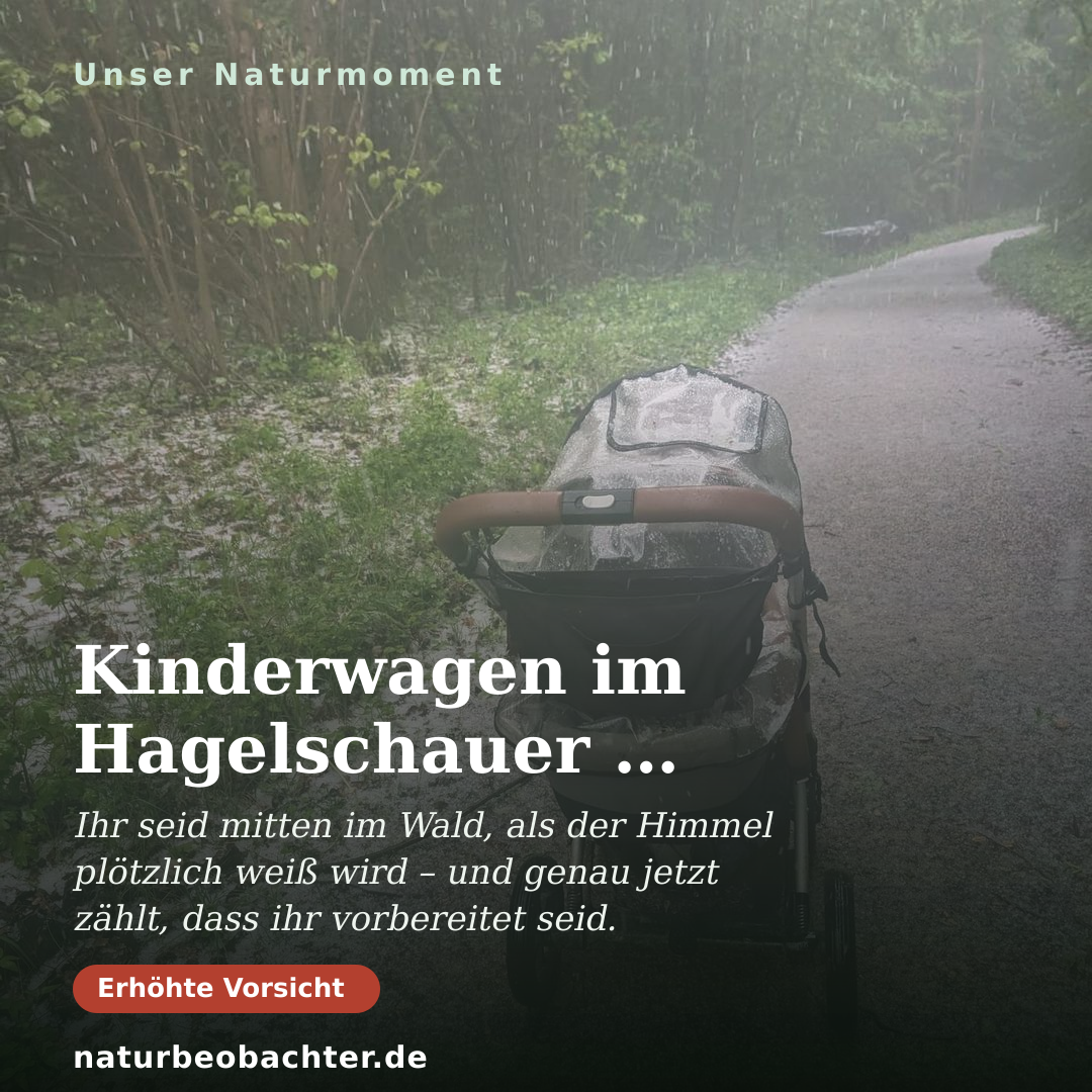 Druck-Vorschau: Kinderwagen im Hagelschauer – Frühlingsgewitter im Wald