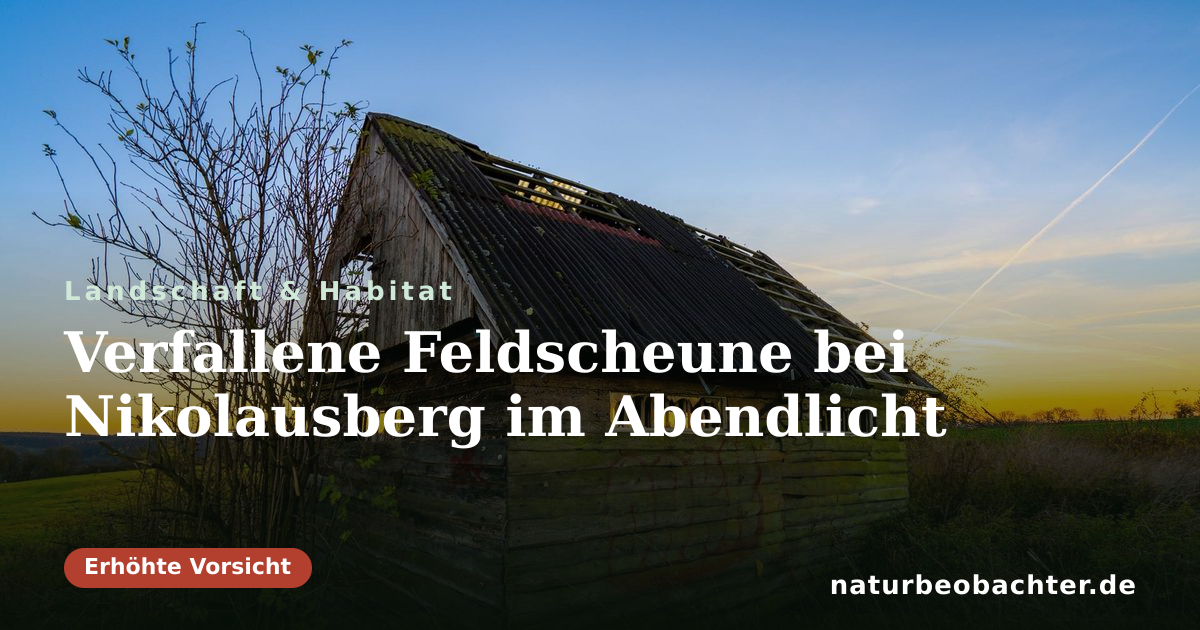 Vorschau der Teilen-Karte: Verfallene Feldscheune bei Nikolausberg im Abendlicht