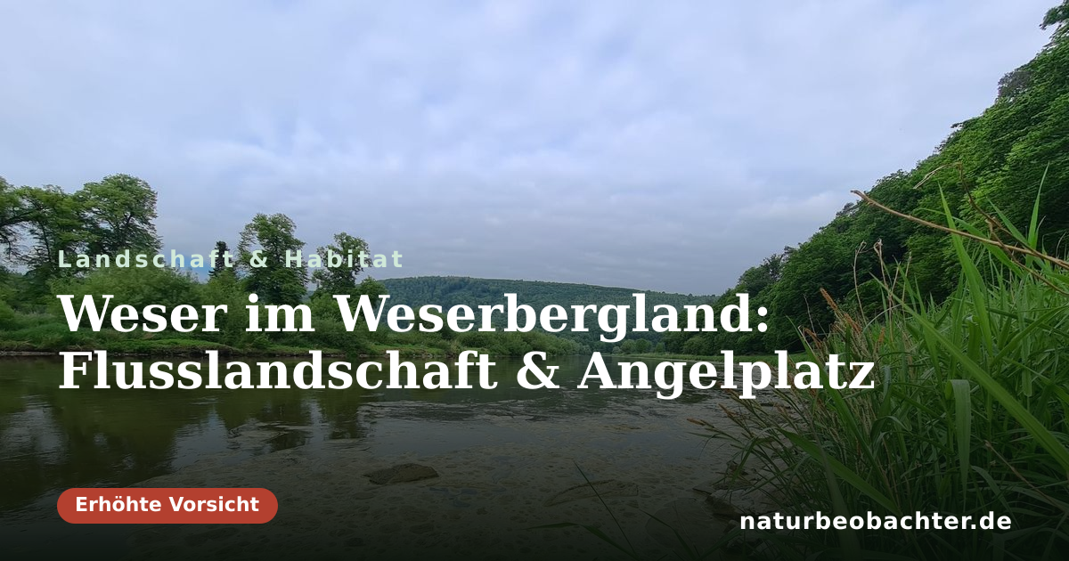 Vorschau der Teilen-Karte: Weser im Weserbergland: Flusslandschaft & Angelplatz