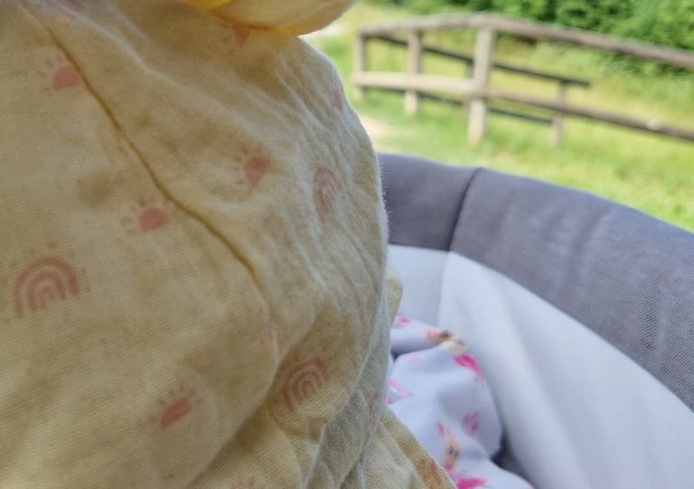 Hochgrasige Sommerwiese