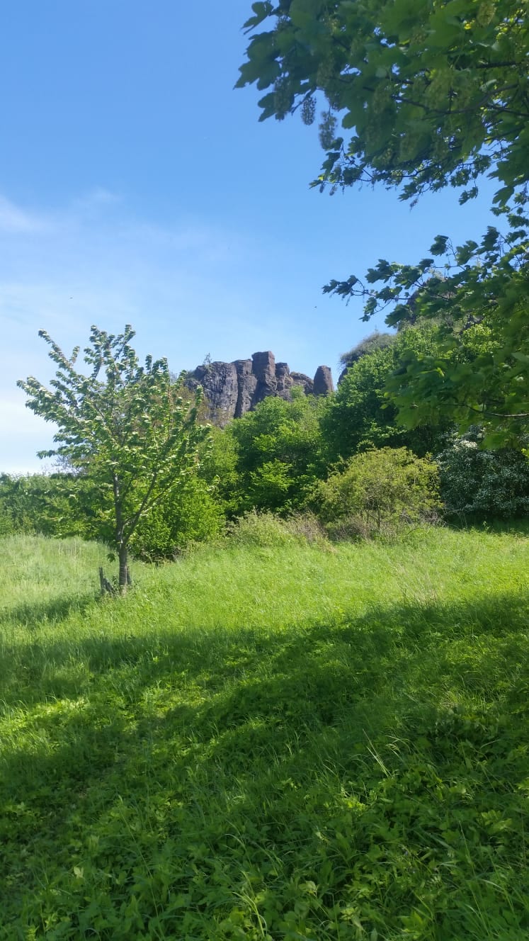 Besonnte Felsklippe / Härtlingsfels