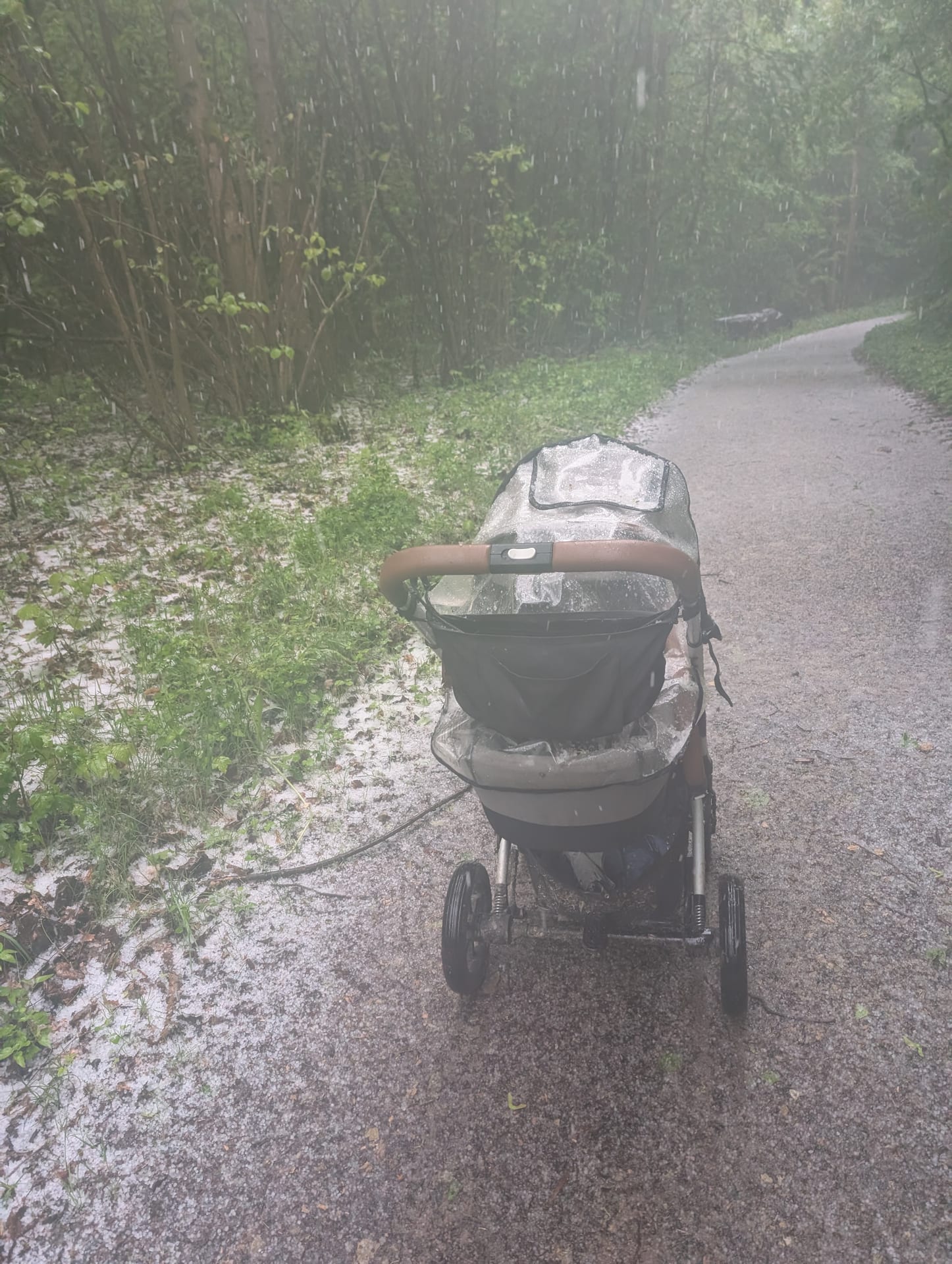 Kinderwagen mit Regenverdeck auf Waldweg, daneben weiße Graupel-/Hagelschicht im Gras während eines Schauers. — Foto 1