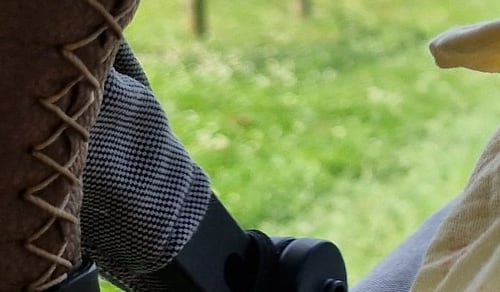 Verwitterter Holzzaun / Weidepfosten
