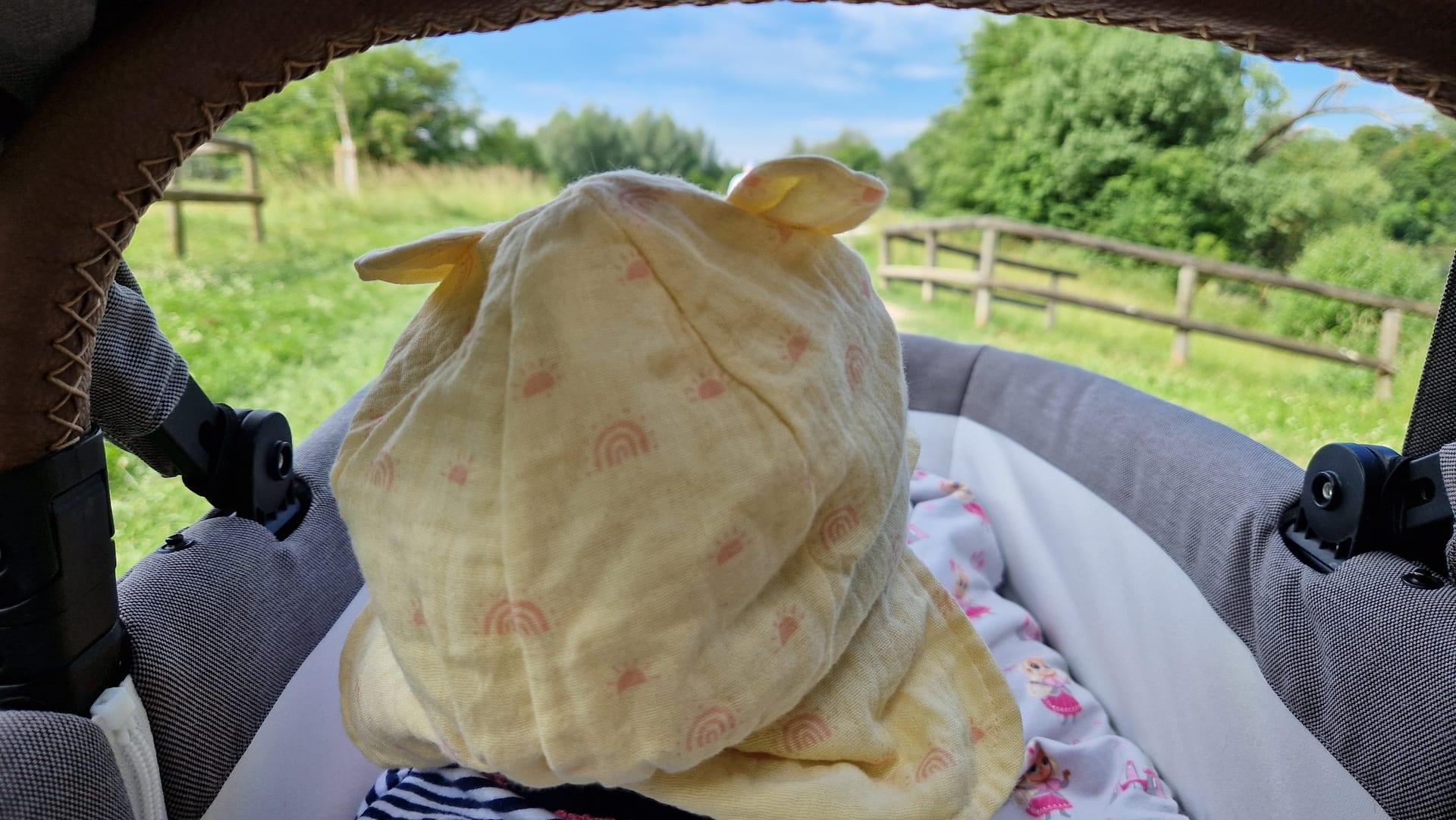 Blick aus dem Kinderwagen auf ein Baby mit gelbem Sonnenhut, dahinter eine grüne Sommerwiese mit Holzzaun und Laubbäumen.