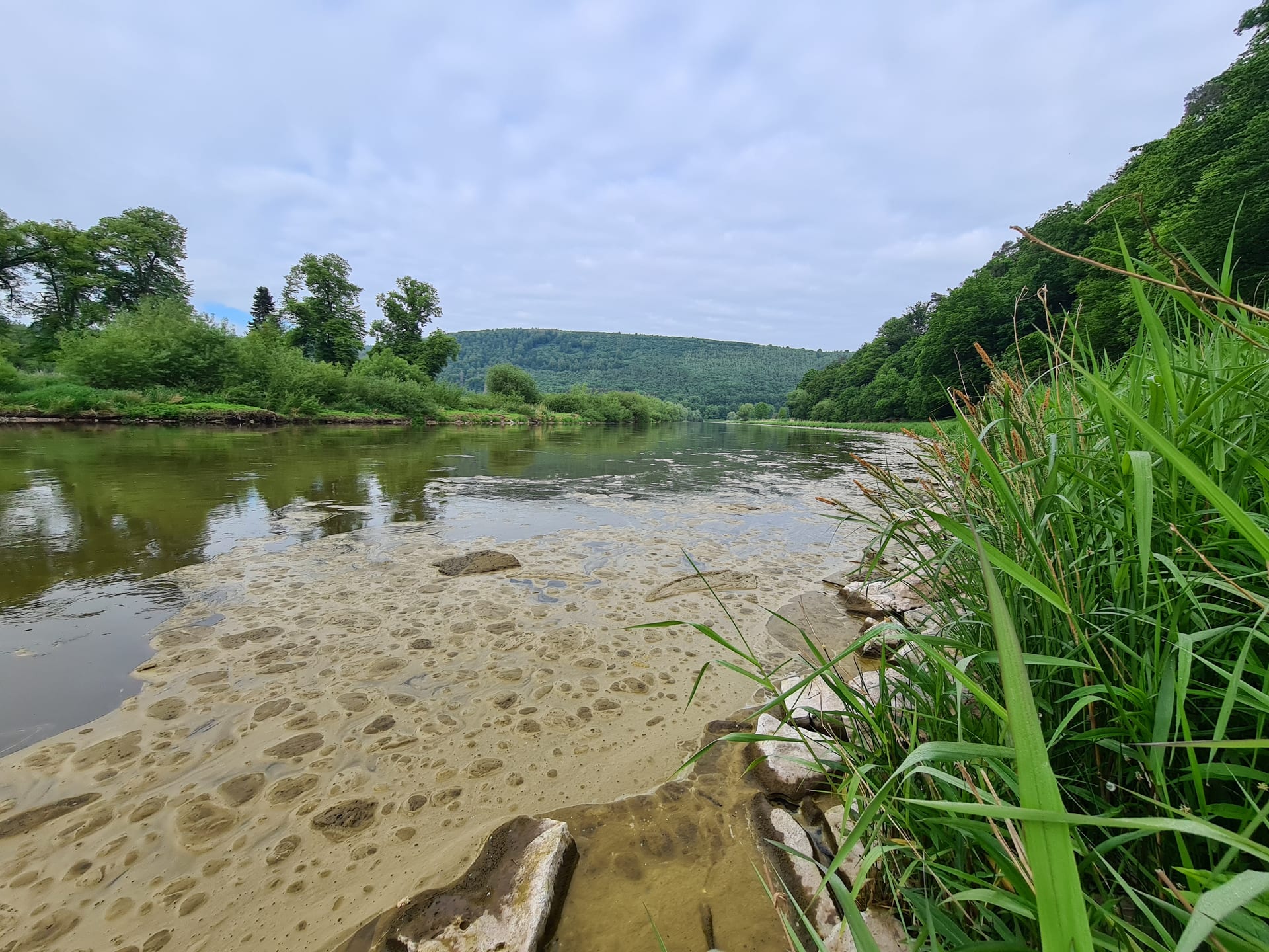 Ruhige Weser mit bewaldeten Hängen, sandiger Uferbank mit Schaum und Schilf, am Ufer ein Kescher und eine Angelrute. — Foto 1