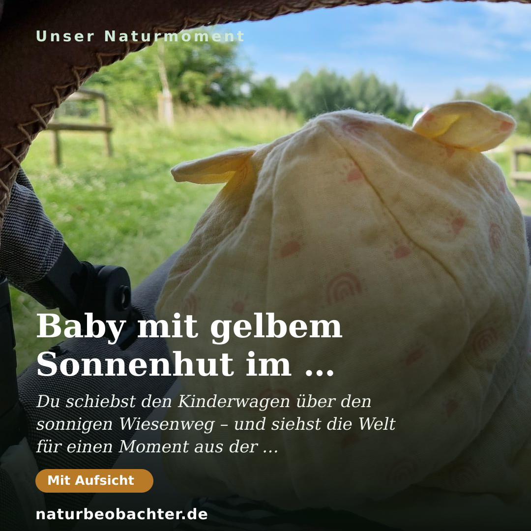 Druck-Vorschau: Baby mit gelbem Sonnenhut im Kinderwagen auf der Wiese